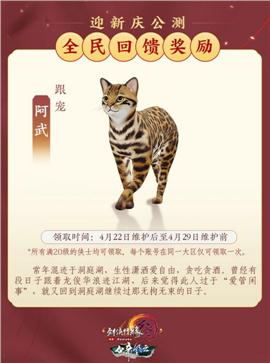 南阳华山天龙八部私服